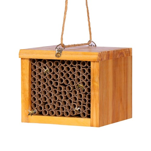 Mason bee house wax - wax, coated