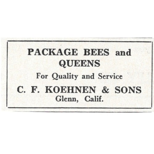 Package bees queens - package,