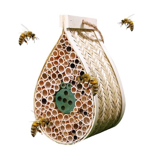 Mason bee house - bee,