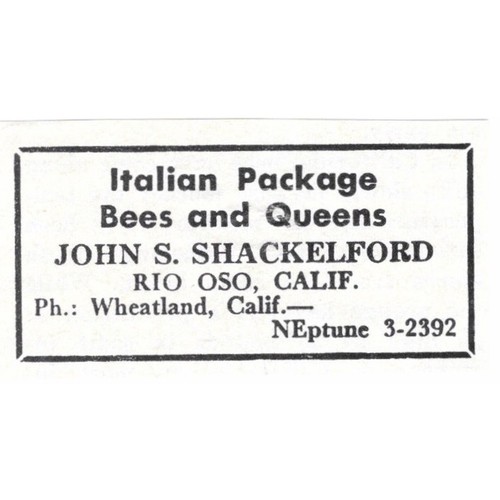 Italian package bees john - package,
